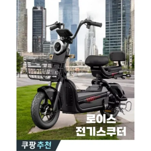 로이스 전기오토바이 클래식 전기자전거 – 실사용 후기!